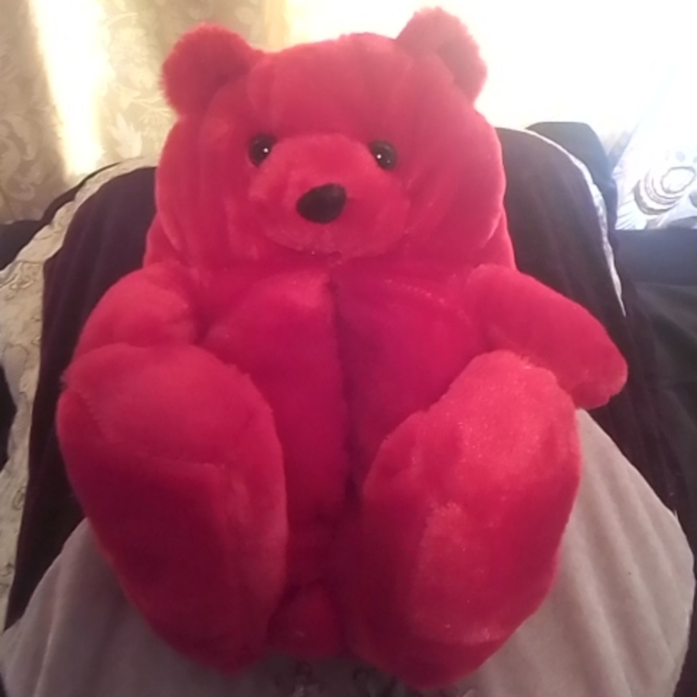 Fuzzy bear slippers